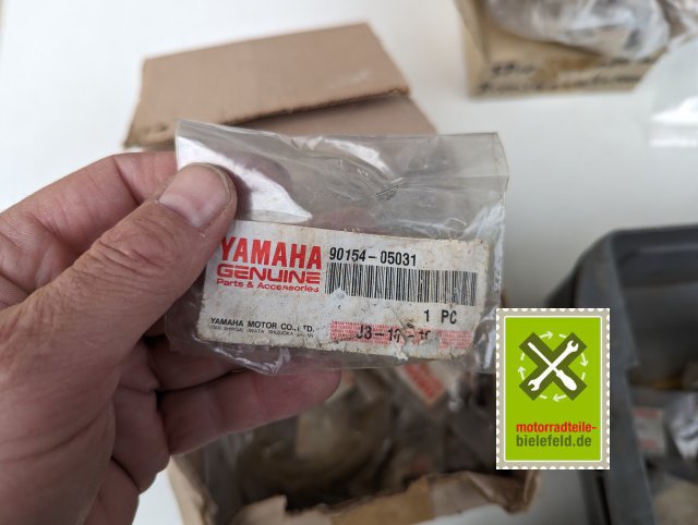 PXL_20240528_173847934